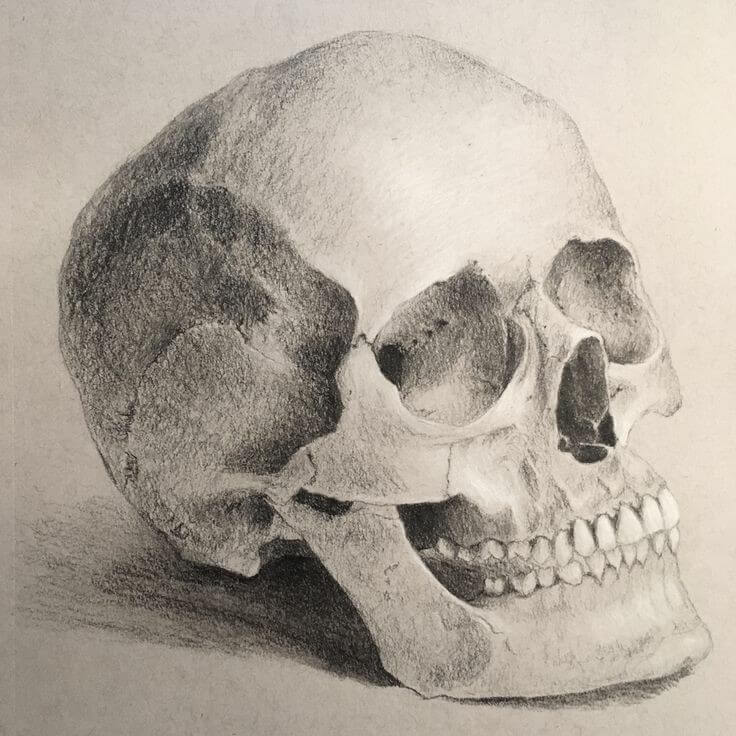 آموزش نقاشی سیاه قلم